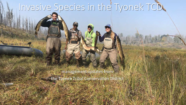 invasive species in the tyonek tcd