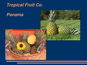 Panama  Exporter dedicated to production of Pineapple  MD2 in the Republic of Panama in the