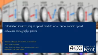 coherence tomography system  Manuel J. Marques, Sylvain Rivet, Adrian Bradu  and Adrian Podoleanu