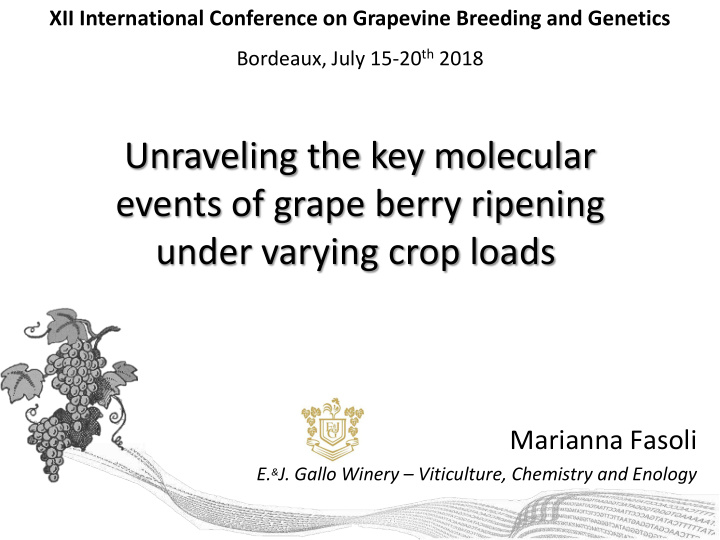 events of grape berry ripening