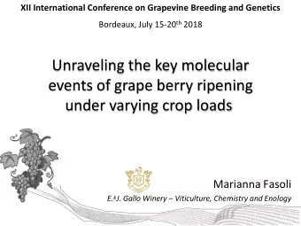 events of grape berry ripening  under varying crop loads  Marianna Fasoli E. &amp; J. Gallo Winery