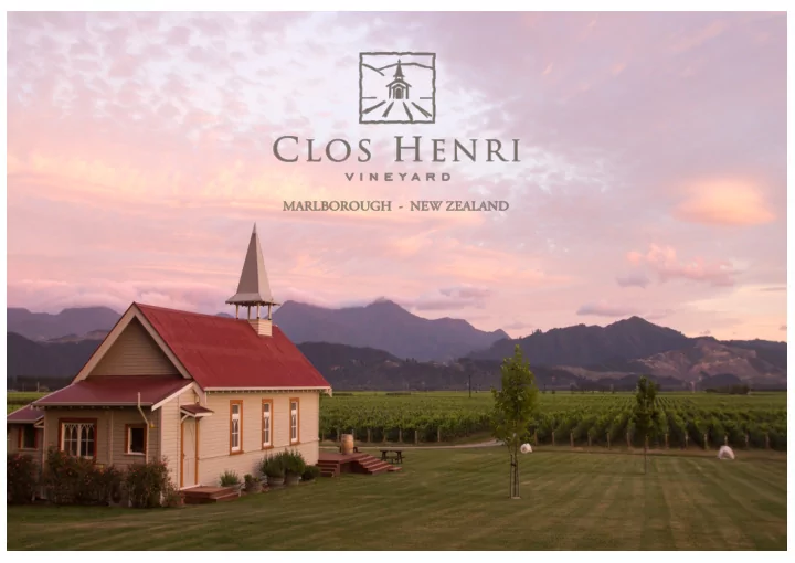 new zealand wine regions