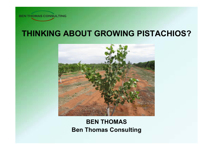 thinking about growing pistachios