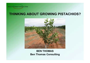 THINKING ABOUT GROWING PISTACHIOS?  BEN THOMAS  Ben Thomas Consulting  CLIMATE CONSIDERATIONS