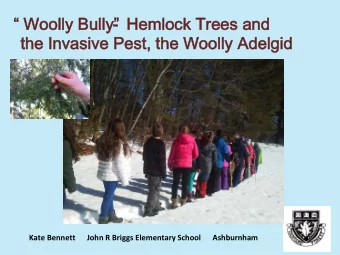 Woolly Bully  - Hemlock Trees and  the Invasive Pest, the Woolly Adelgid  Kate Bennett
