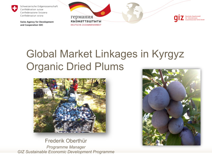 global market linkages in kyrgyz organic dried plums