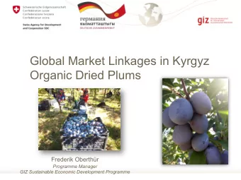 Global Market Linkages in Kyrgyz  Organic Dried Plums  Frederik Oberthr  Programme Manager  GIZ