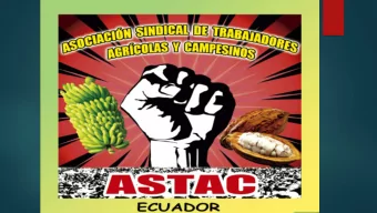 In 2007 we  denounced  affectation to  health by  pesticides  REPORT:  EXPERTISE  TO HEALTH