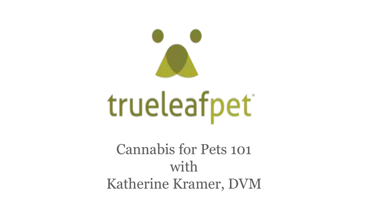 cannabis for pets 101 with katherine kramer dvm true life