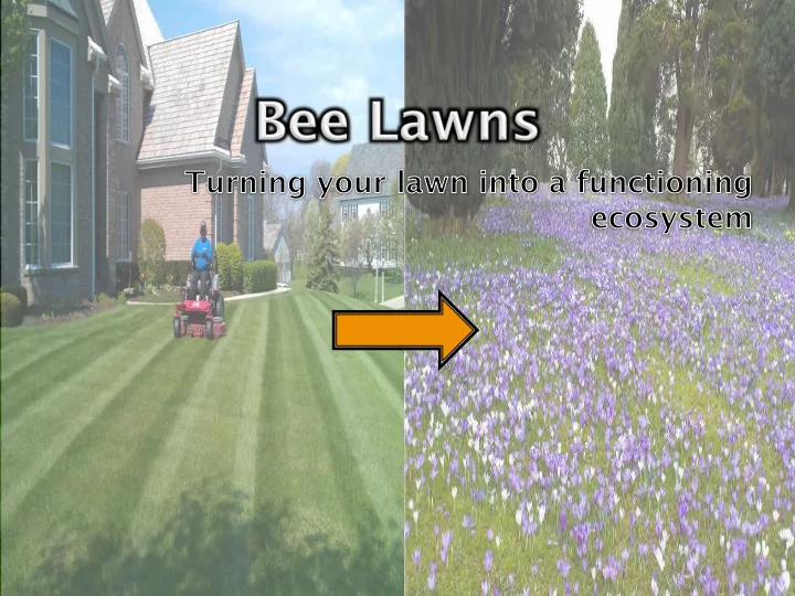 turf lawns account for 2 of continental us land cover