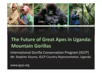 The Future of Great Apes in Uganda:  The Future of Great Apes in Uganda:  Mountain Gorillas