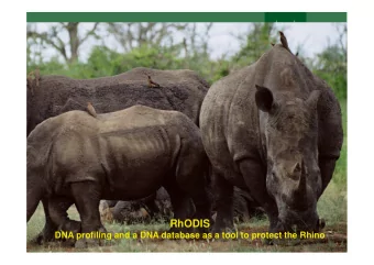 RhODIS  DNA profiling and a DNA database as a tool to protect the Rhino  Rhino Poaching RSA /