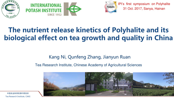 the nutrient release kinetics of polyhalite and its