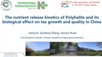 The nutrient release kinetics of Polyhalite and its  biological effect on tea growth and quality in