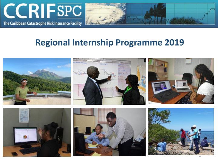 regional internship programme 2019