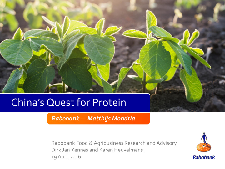 china s quest for protein