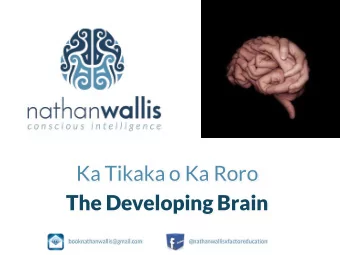 Ka Tikaka o Ka Roro  The Developing Brain  booknathanwallis@gmail.com