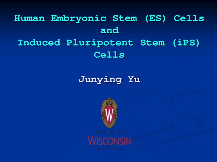 human embryonic stem es cells human embryonic stem es
