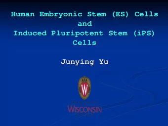 Human Embryonic Stem (ES) Cells  Human Embryonic Stem (ES) Cells  and  and  Induced Pluripotent