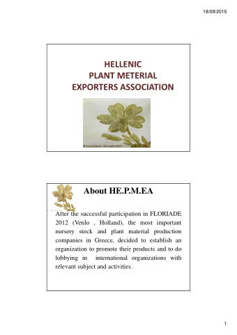 HELLENIC  PLANT METERIAL  EXPORTERS ASSOCIATION  About HE.P.M.EA  After the successful