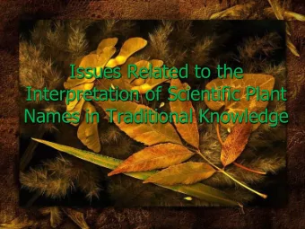 Issues Related to the  Interpretation of Scientific Plant  Names in Traditional Knowledge  1200