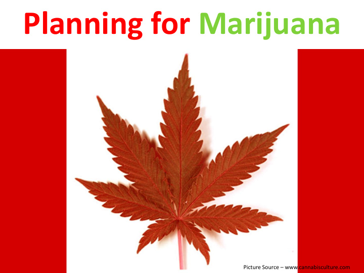 planning for marijuana