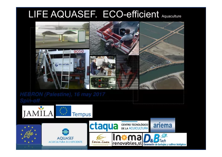 canela fish farm project situation