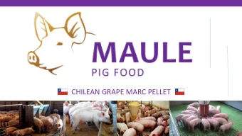 CHILEAN GRAPE MARC PELLET  THE PRODUCT  It is a food for pigs based on organic grapes  residues.