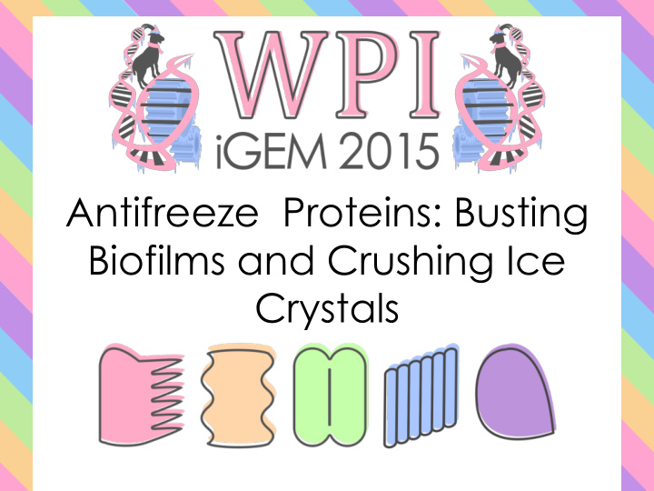 biofilms and crushing ice