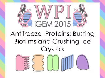 Biofilms and Crushing Ice  Crystals  Our Team  9/27/2015  WPI iGEM  2  Roadmap  Antifreeze