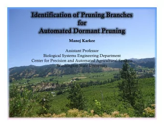 Identification of Pruning Branches  for  for  Automated Dormant Pruning  M  Manoj Karkee  j K  k