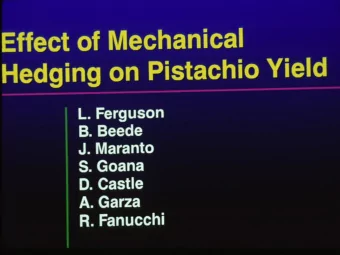 6 year Cumulative Yield - Hedging Trial -  Pounds/acre @ 5% Moisture  Splits-Clean  Edible Closed