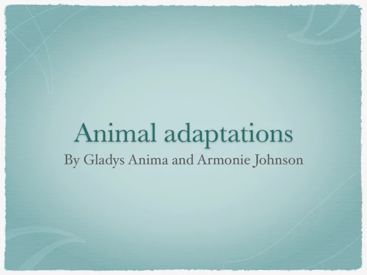 animal adaptations