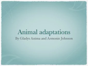 Animal adaptations  By Gladys Anima and Armonie Johnson  What are  adaptations?  Animals have