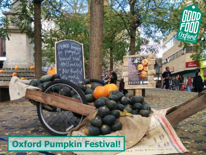 oxford pumpkin festival what s the problem