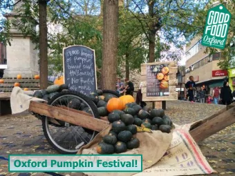 Oxford Pumpkin Festival!  Whats the problem?  At Halloween, 2/3 of people throw away the