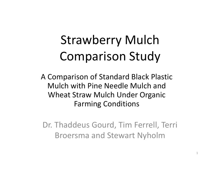 strawberry mulch comparison study c i st d