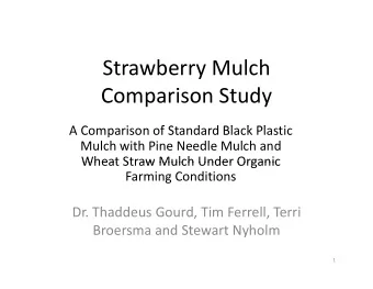 Strawberry Mulch Comparison Study  C  i  St d A Comparison of Standard Black Plastic  A C  i  f S