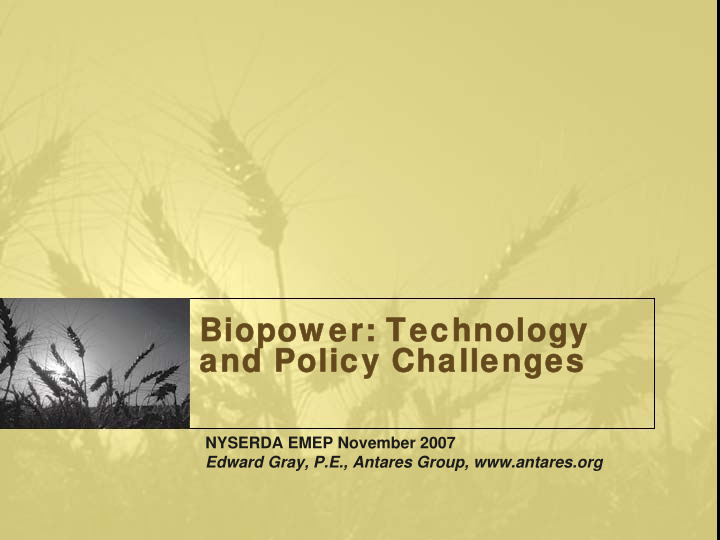 biopow er technology biopow er technology and policy