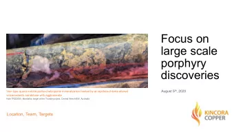 Focus on  large scale  porphyry  discoveries August 5 th , 2020  Vein type