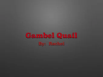 Gambel Quail  By:  Rachel  Predators of the  gambel quail  The predators of a gambel quail are
