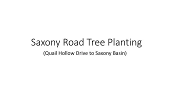 Saxony Road Tree Planting  (Quail Hollow Drive to Saxony Basin)  Saxony Road Tree Planting