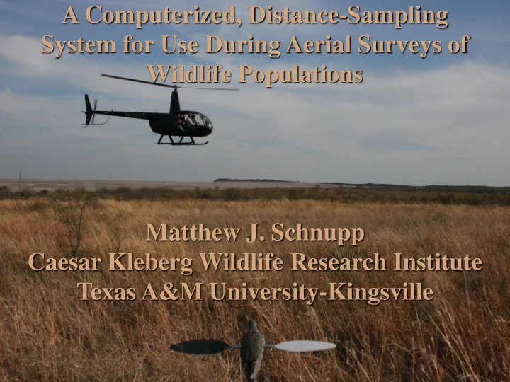 caesar kleberg wildlife research institute