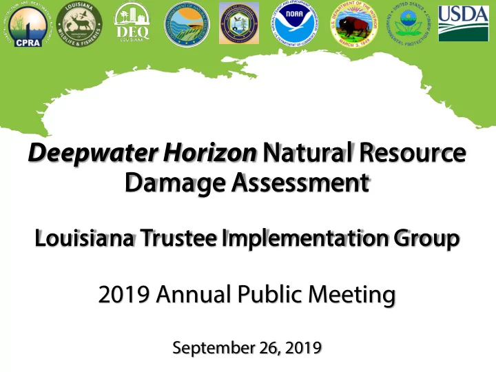 deepwater horizon natural r resource damage a asse ssessm
