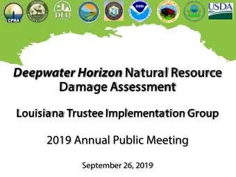 Deepwater Horizon Natural R  Resource  Damage A  Asse  ssessm  ssment  Louisiana Trustee I  e