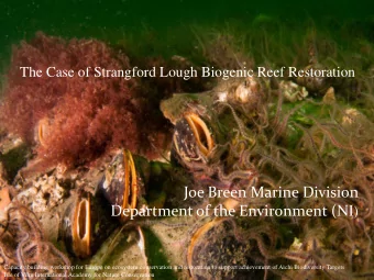 Special Areas of Conservation cSACs  Rathlin  Annex 1 features  Reefs,Sea Caves, Sandbanks