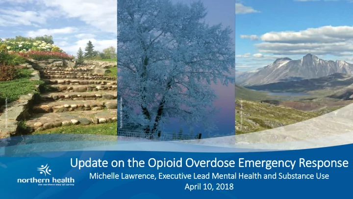 update on th the opioid overdose emergency response