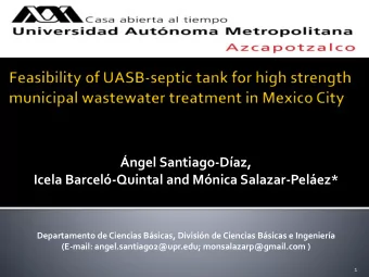 ngel Santiago - Daz, Icela Barcel -Quintal and Mnica Salazar- Pelez * Departamento de