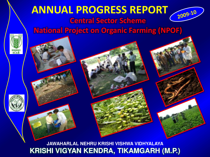 annual progress report