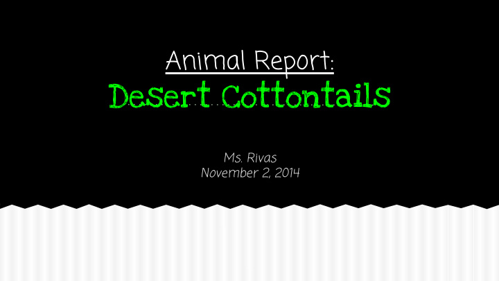 desert cottontails